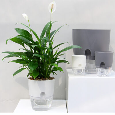 Plastic Self Watering Plant Flower Pot With Water Container