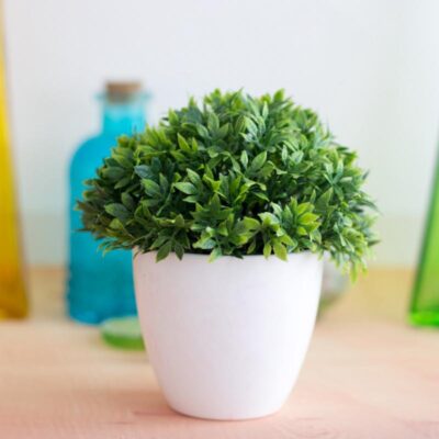 Mini Artificial Plants Bonsai Simulation Tree Pot
